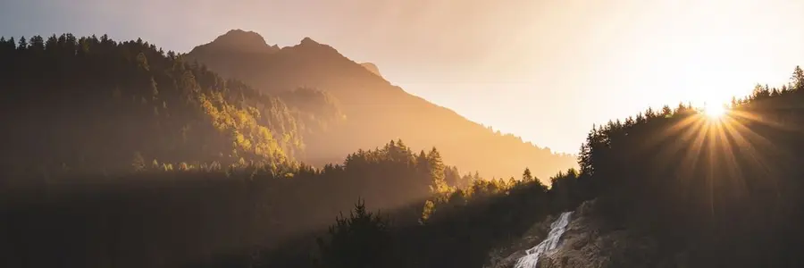 Crossing the Valley of Tears: AI Implementation and New Workflows