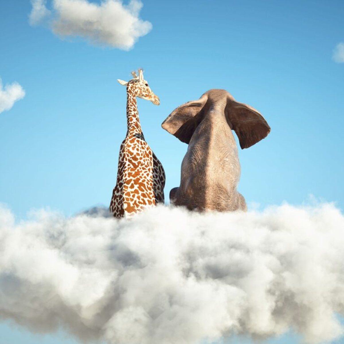 So nutzt KI Ihr internes Wissen – ohne Halluzinationen