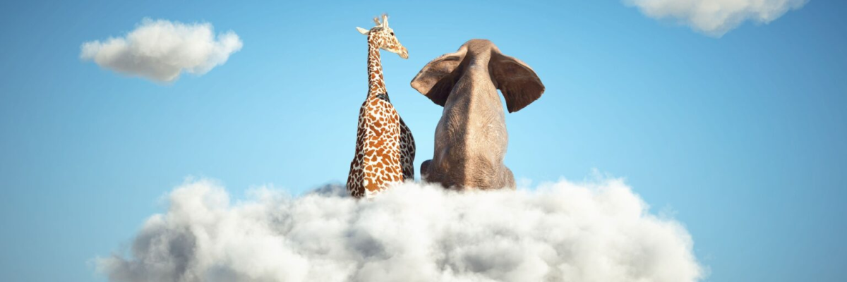 So nutzt KI Ihr internes Wissen – ohne Halluzinationen