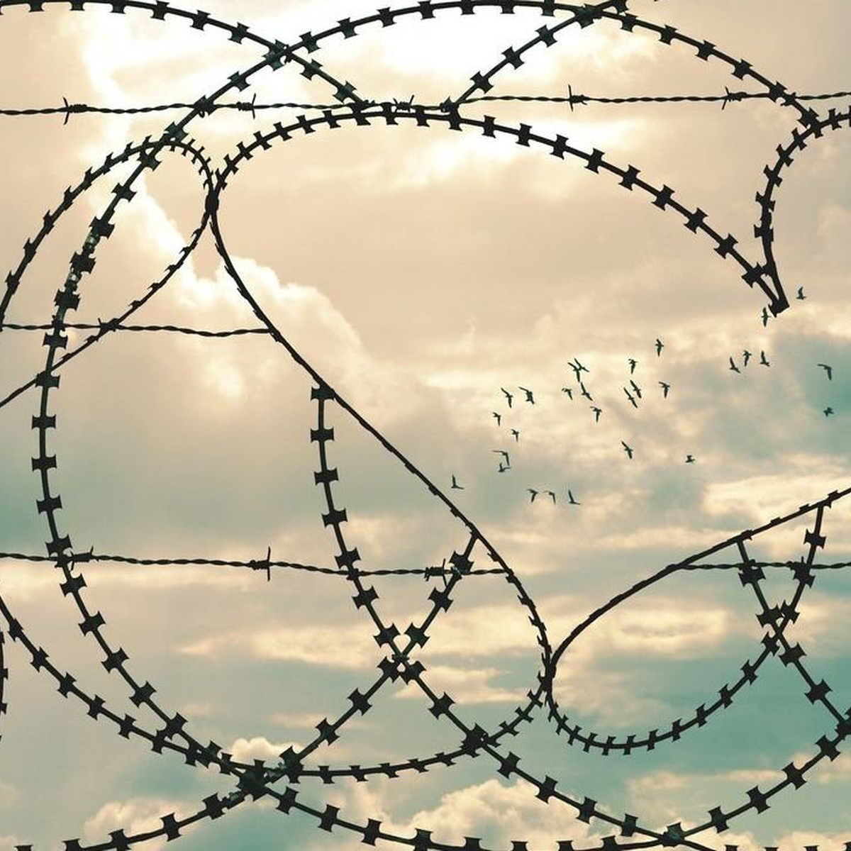 KI Lock-In vermeiden – Strategische Risiken minimieren