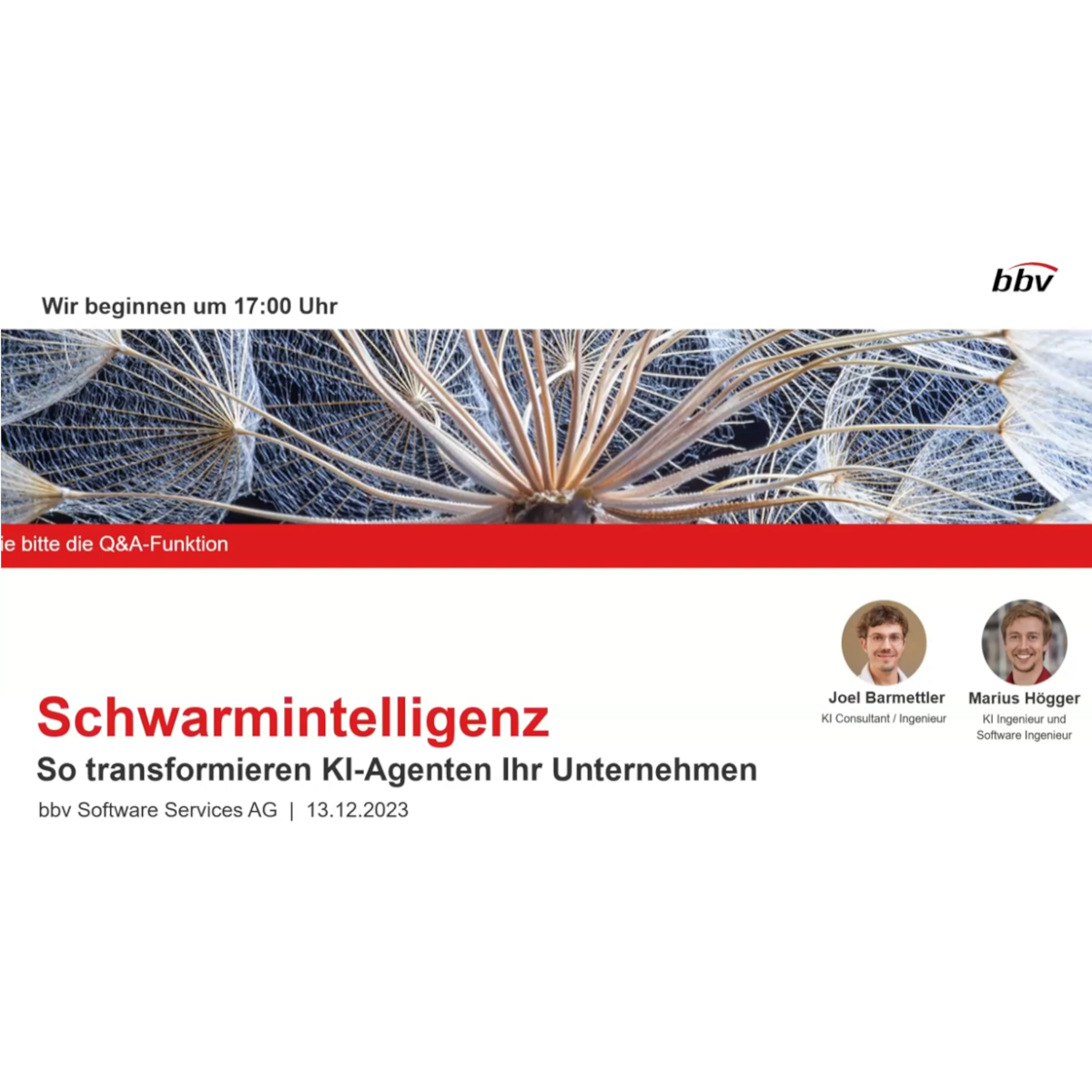Webinar: Schwarmintelligenz
